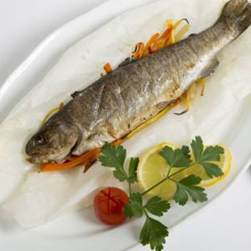 Verse Forel uit de Soca - Slovenië